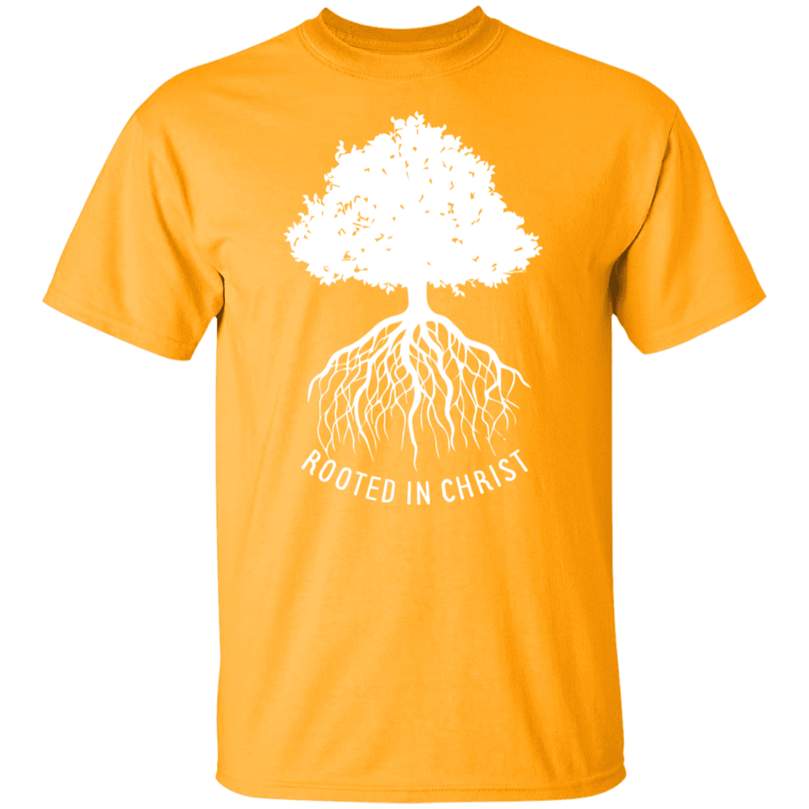 Rooted In Christ