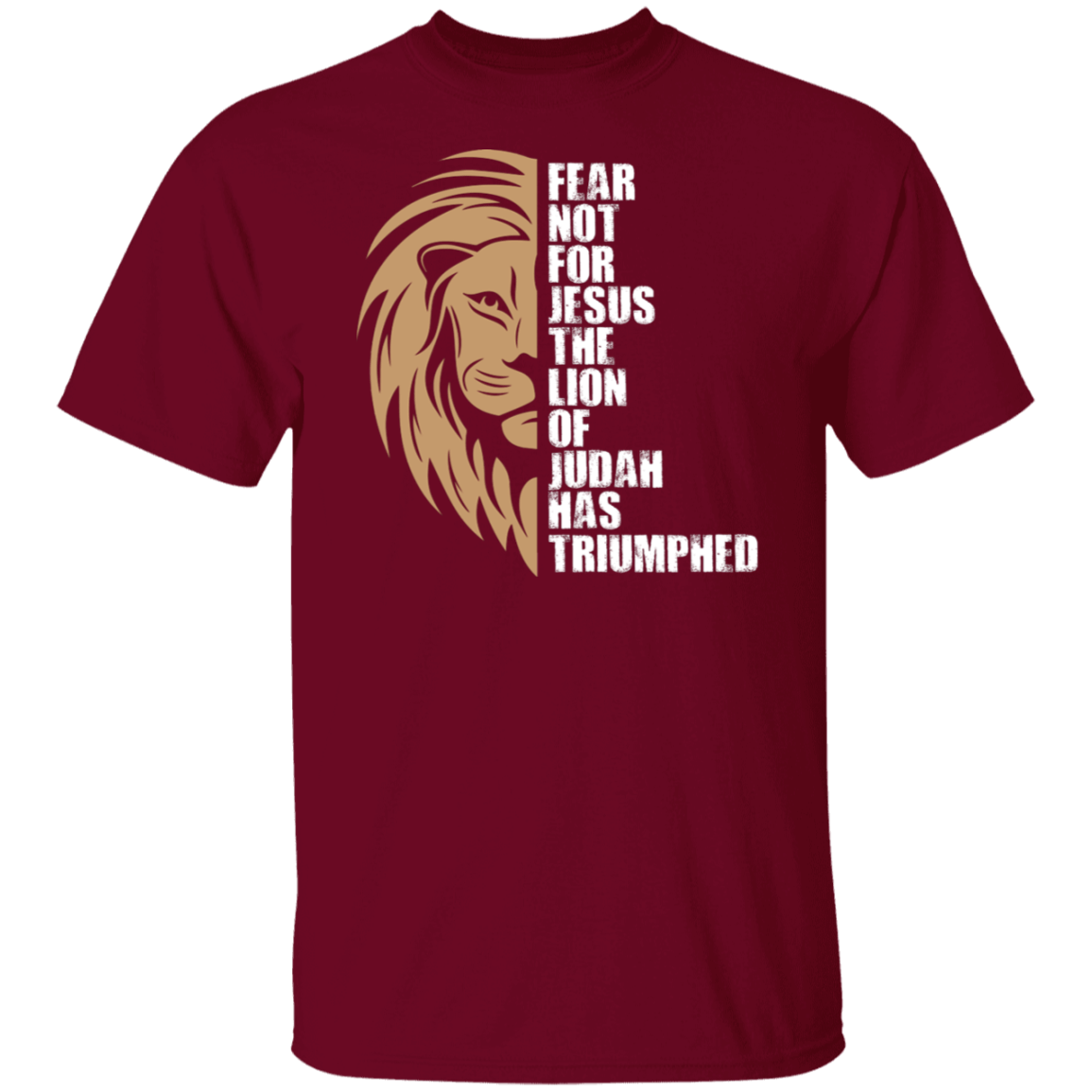 Fear Not For Jesus