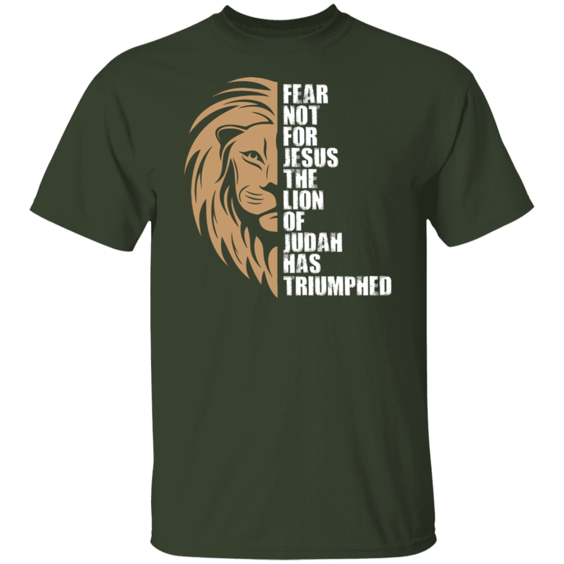Fear Not For Jesus