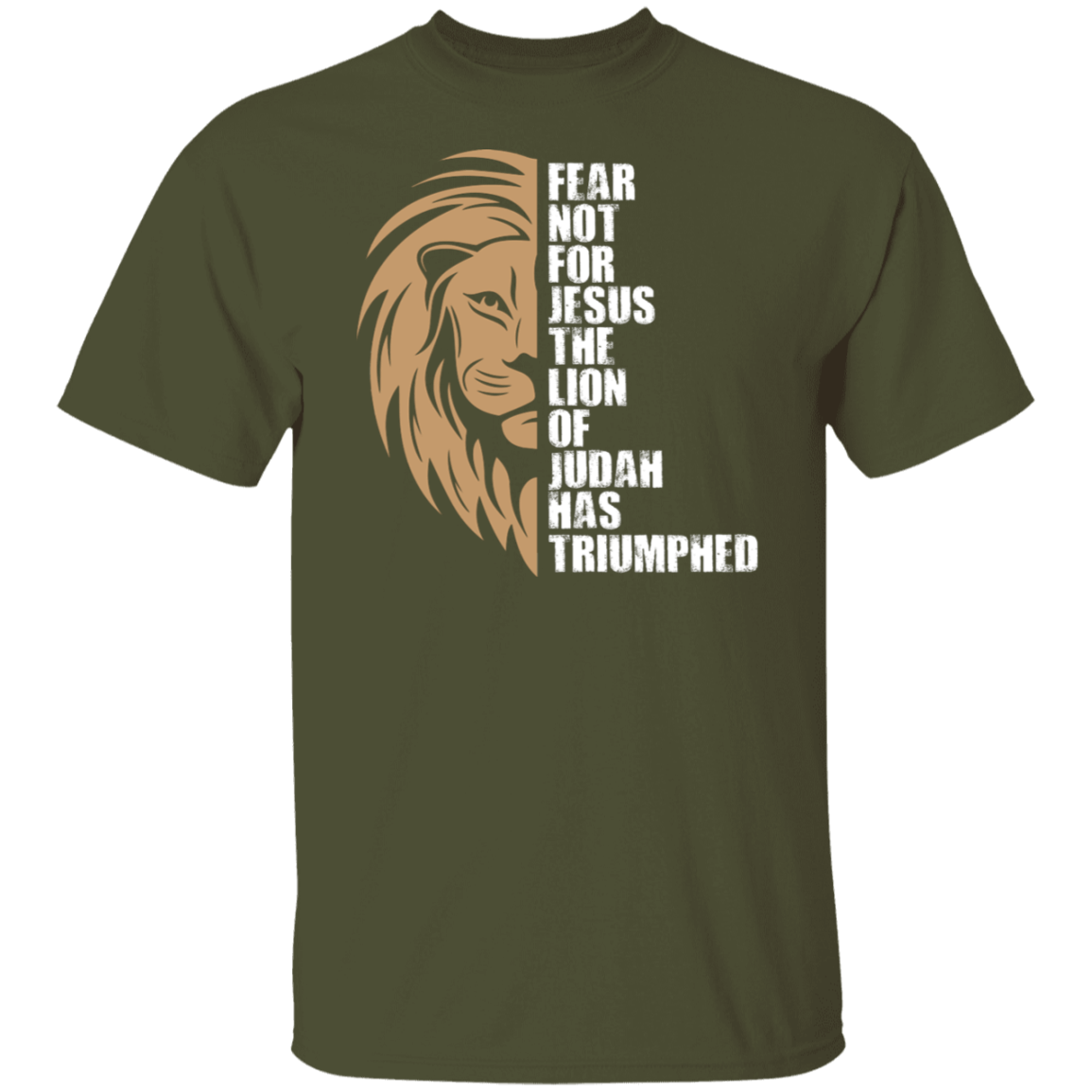 Fear Not For Jesus