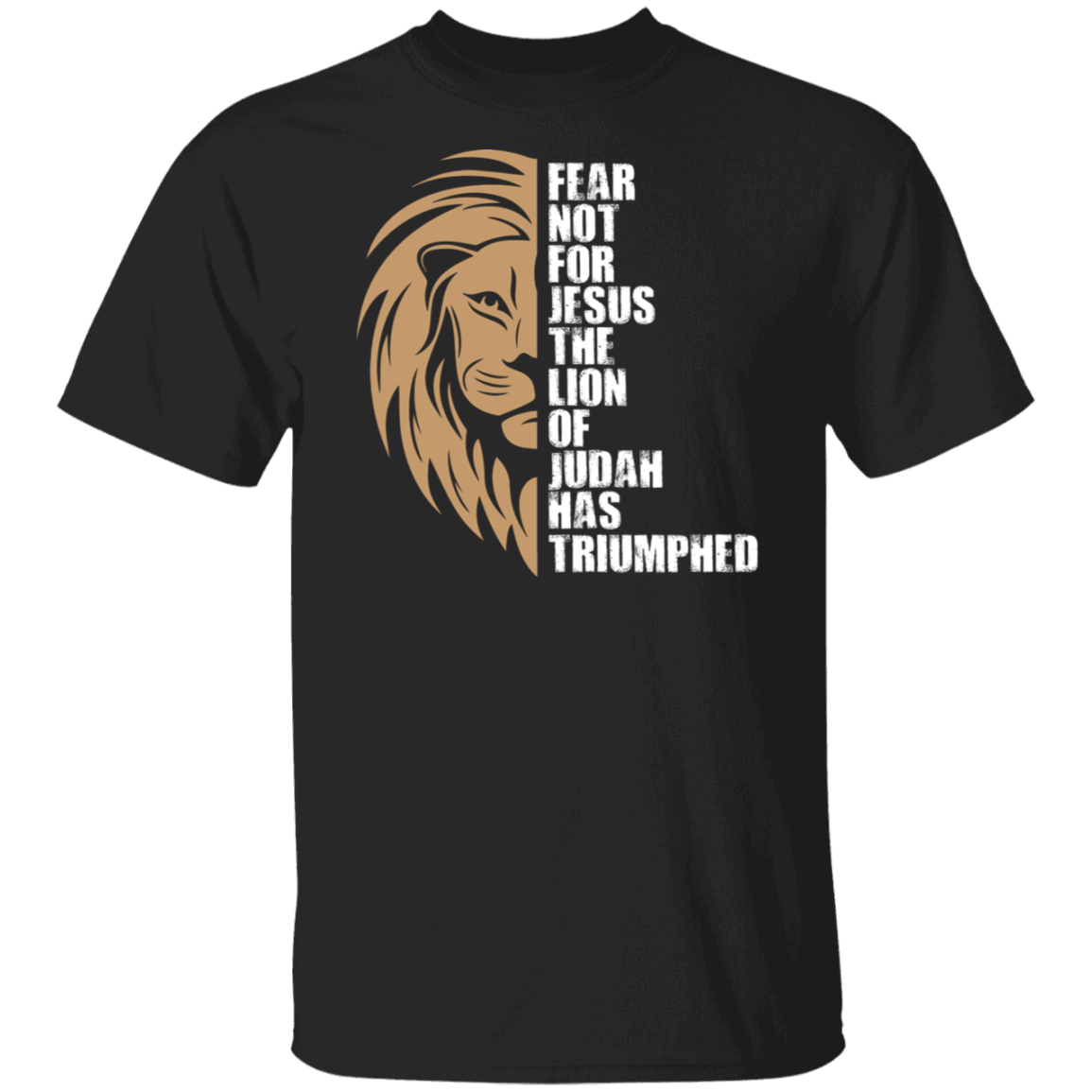 Fear Not For Jesus