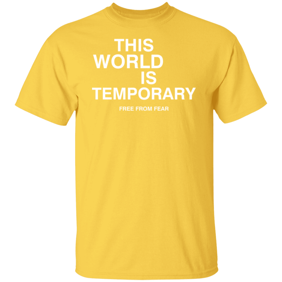 World Is Temporary